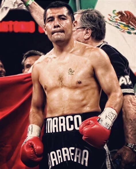 marco antonio barrera record.